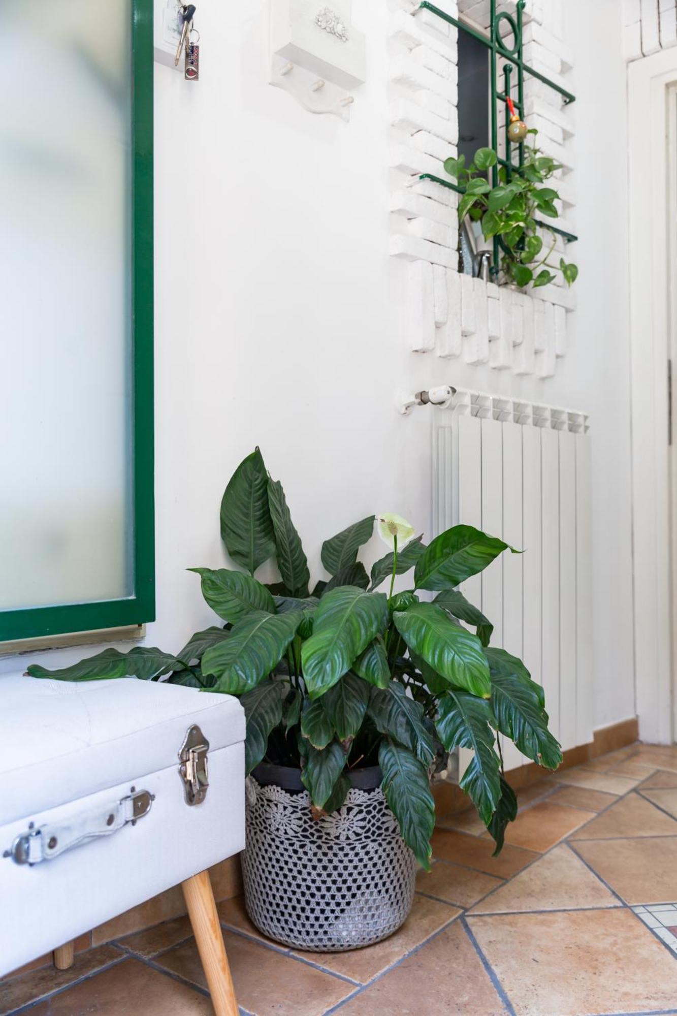 Flavia'S Home Napoli Dış mekan fotoğraf